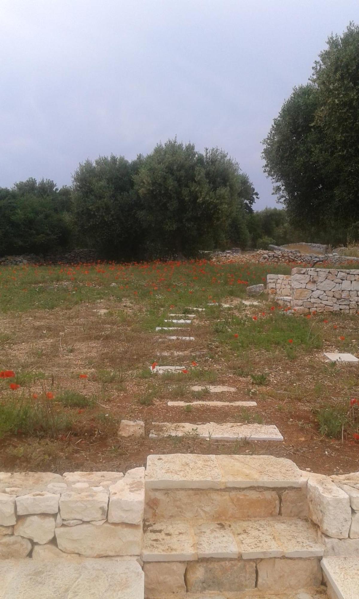 فيلا Trullo Alto Salento تْشيستيرنِنو المظهر الخارجي الصورة