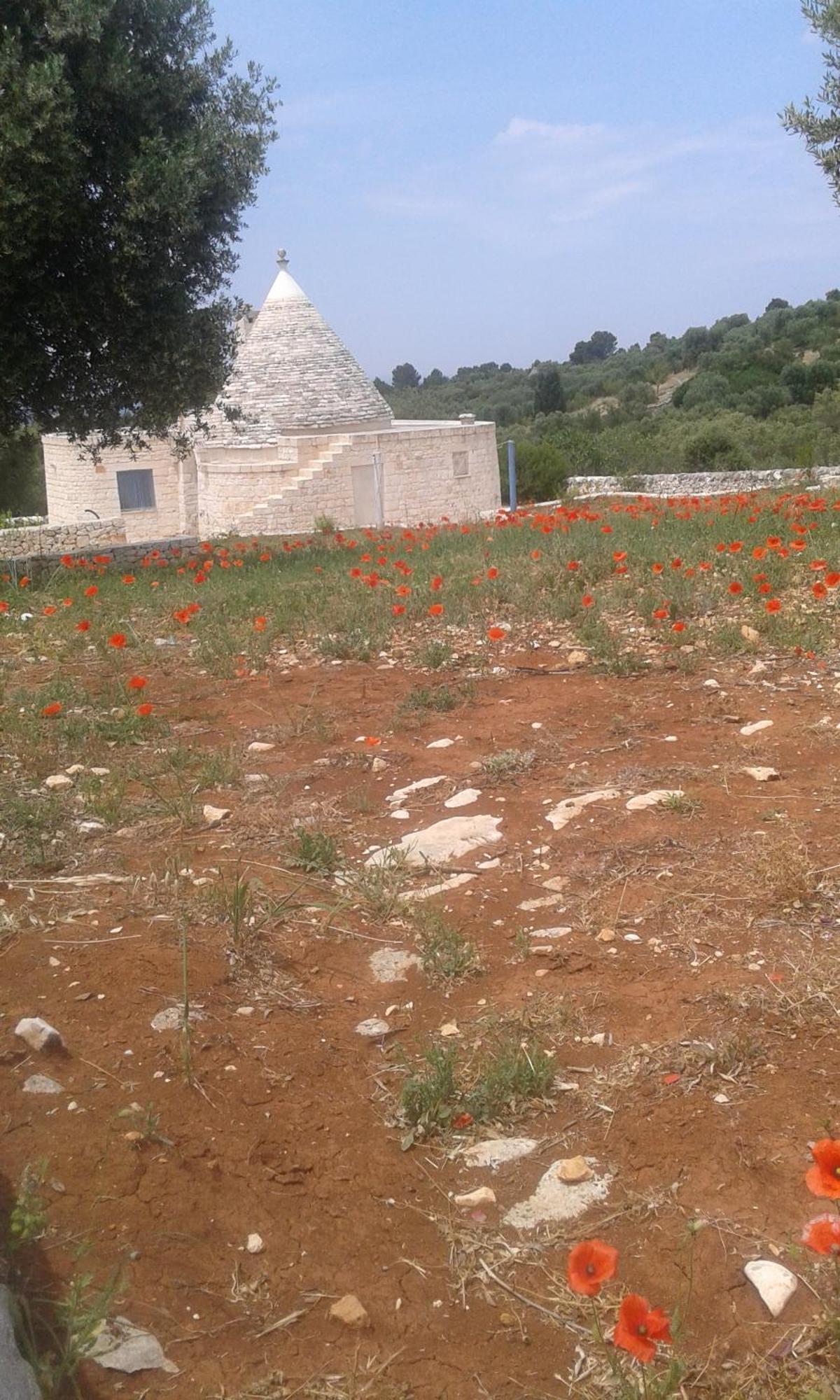 فيلا Trullo Alto Salento تْشيستيرنِنو المظهر الخارجي الصورة