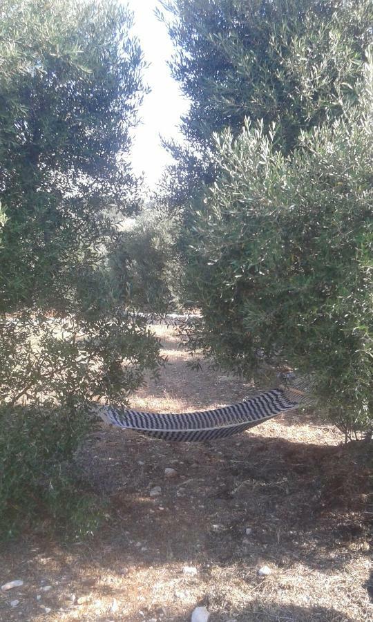 فيلا Trullo Alto Salento تْشيستيرنِنو المظهر الخارجي الصورة