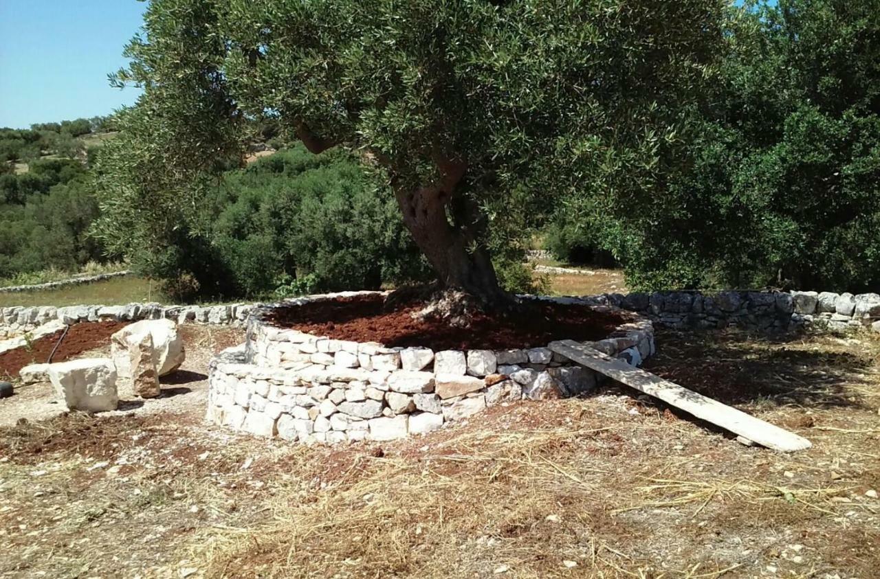 فيلا Trullo Alto Salento تْشيستيرنِنو المظهر الخارجي الصورة