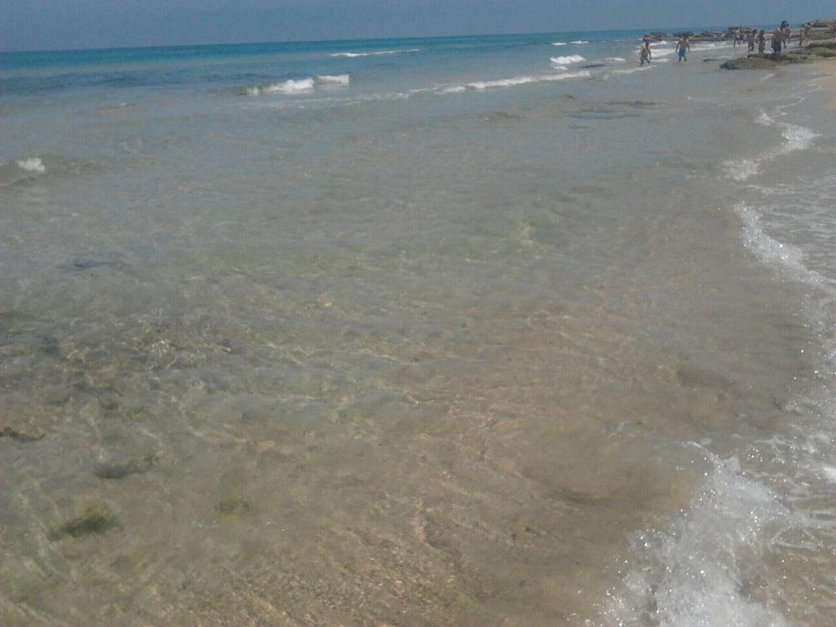 فيلا Trullo Alto Salento تْشيستيرنِنو المظهر الخارجي الصورة
